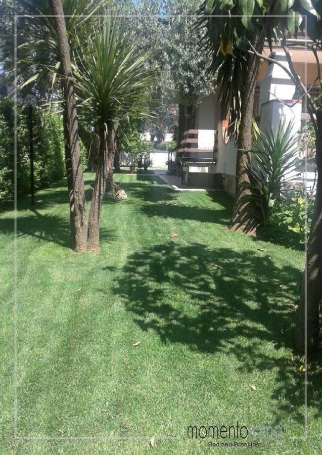 Momentoroma B&B Ciampino Bagian luar foto